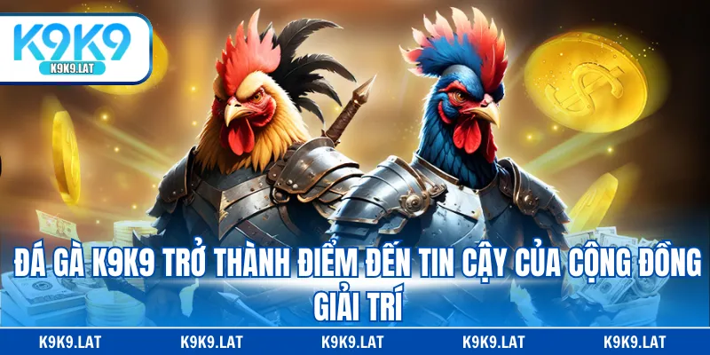 Đá gà K9K9 trở thành điểm đến tin cậy của cộng đồng giải trí