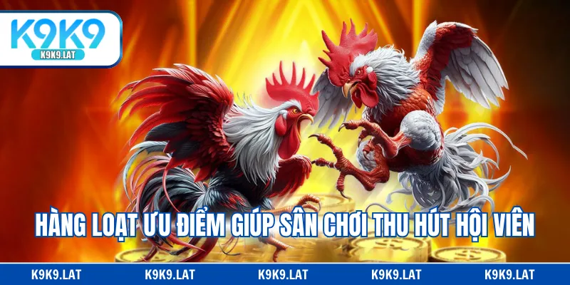 Hàng loạt ưu điểm giúp sân chơi thu hút hội viên