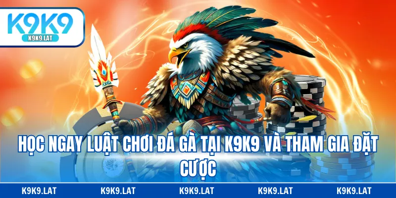 Học ngay luật chơi đá gà tại K9K9 và tham gia đặt cược