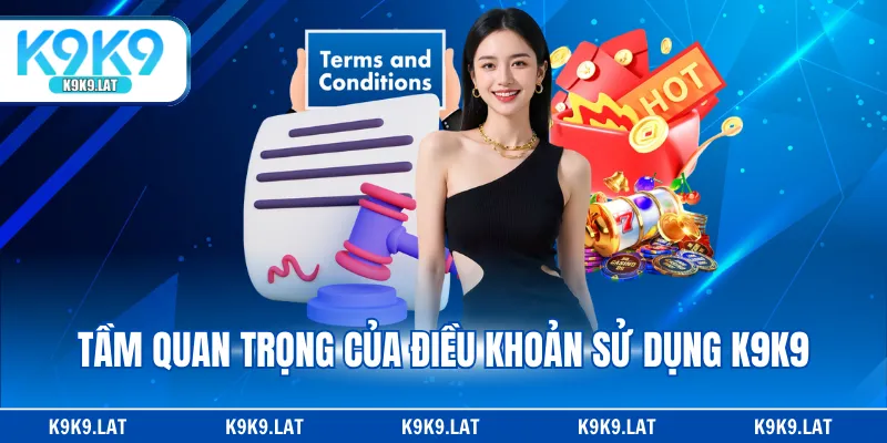 Tầm quan trọng của điều khoản sử dụng K9K9